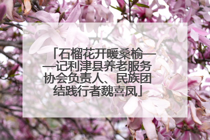 石榴花开暖桑榆——记利津县养老服务协会负责人、民族团结践行者魏喜凤