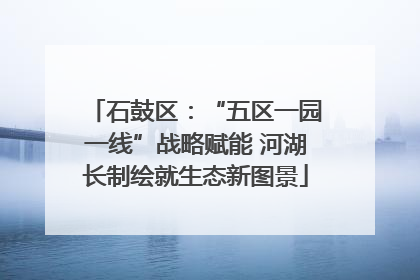 石鼓区：“五区一园一线”战略赋能 河湖长制绘就生态新图景