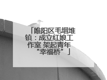 睢阳区毛堌堆镇：成立红娘工作室 架起青年“幸福桥”