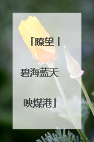 瞭望丨碧海蓝天映煤港