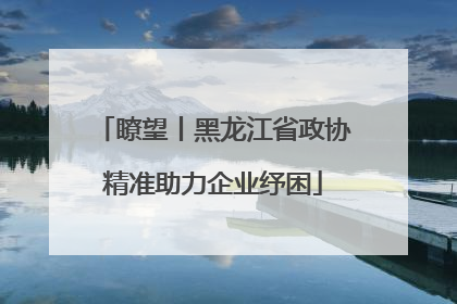 瞭望丨黑龙江省政协精准助力企业纾困