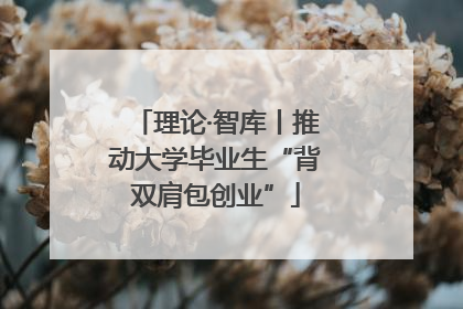 理论·智库丨推动大学毕业生“背双肩包创业”