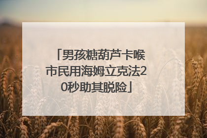 男孩糖葫芦卡喉 市民用海姆立克法20秒助其脱险