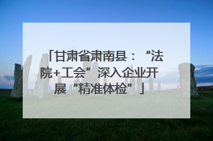 甘肃省肃南县：“法院+工会”深入企业开展“精准体检”
