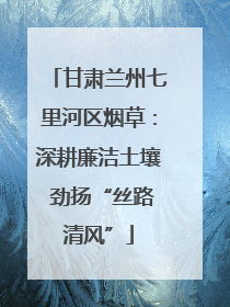 甘肃兰州七里河区烟草：深耕廉洁土壤 劲扬“丝路清风”
