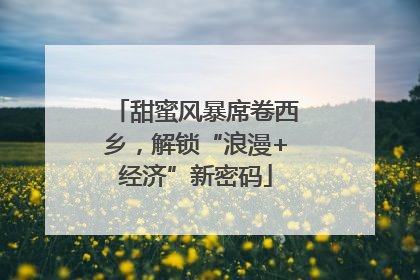 甜蜜风暴席卷西乡，解锁“浪漫+经济”新密码