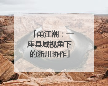 甬江潮：一座县域视角下的浙川协作