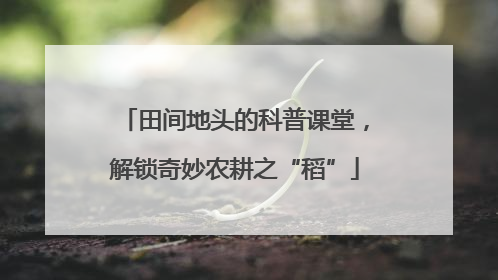 田间地头的科普课堂，解锁奇妙农耕之“稻”
