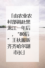 由农业农村部调赴黑龙江一年后，“80后”王杕履新齐齐哈尔副市长