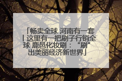 畅卖全球 河南有一套丨这里有一把刷子行销全球 鹿邑化妆刷：“刷”出美丽经济新世界