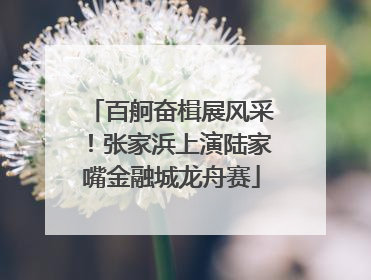 百舸奋楫展风采！张家浜上演陆家嘴金融城龙舟赛