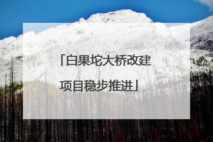 白果坨大桥改建项目稳步推进