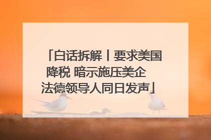 白话拆解丨要求美国降税 暗示施压美企 法德领导人同日发声