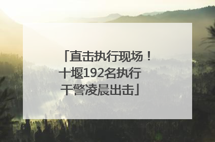 直击执行现场！十堰192名执行干警凌晨出击