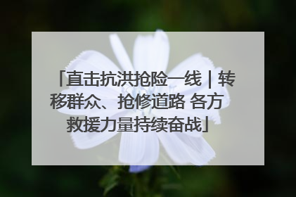 直击抗洪抢险一线｜转移群众、抢修道路 各方救援力量持续奋战