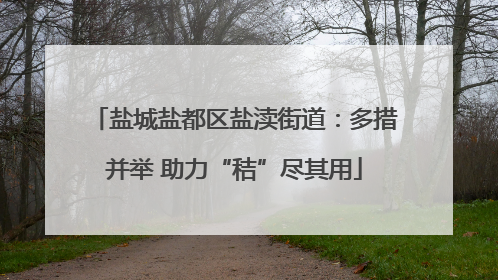 盐城盐都区盐渎街道：多措并举 助力“秸”尽其用