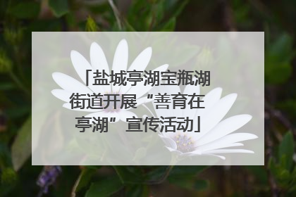 盐城亭湖宝瓶湖街道开展“善育在亭湖”宣传活动