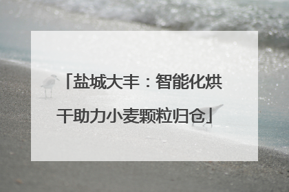 盐城大丰：智能化烘干助力小麦颗粒归仓