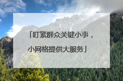 盯紧群众关键小事，小网格提供大服务
