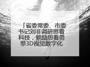 省委常委、市委书记刘非调研思看科技，勉励思看勇攀3D视觉数字化科技高峰