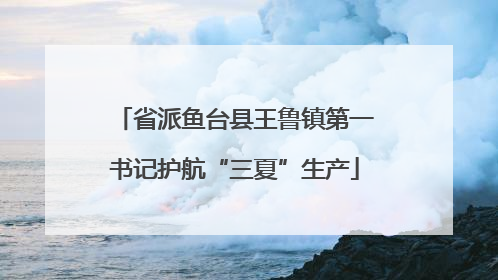 省派鱼台县王鲁镇第一书记护航“三夏”生产