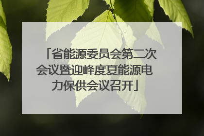 省能源委员会第二次会议暨迎峰度夏能源电力保供会议召开