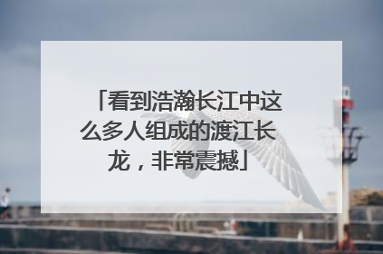 看到浩瀚长江中这么多人组成的渡江长龙，非常震撼