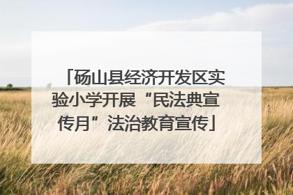 砀山县经济开发区实验小学开展“民法典宣传月”法治教育宣传