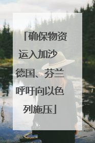 确保物资运入加沙 德国、芬兰呼吁向以色列施压