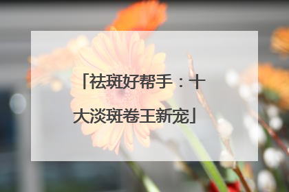 祛斑好帮手：十大淡斑卷王新宠