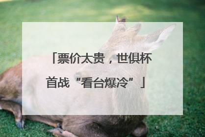 票价太贵，世俱杯首战“看台爆冷”