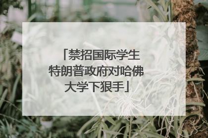 禁招国际学生 特朗普政府对哈佛大学下狠手