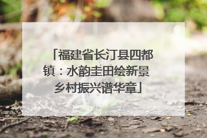 福建省长汀县四都镇：水韵圭田绘新景 乡村振兴谱华章