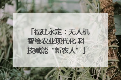 福建永定：无人机智绘农业现代化 科技赋能“新农人”