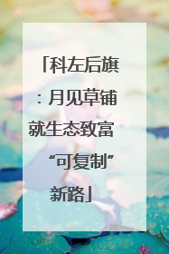 科左后旗：月见草铺就生态致富“可复制”新路
