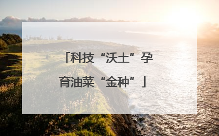科技“沃土”孕育油菜“金种”