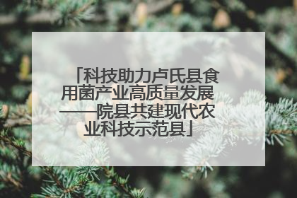 科技助力卢氏县食用菌产业高质量发展——院县共建现代农业科技示范县