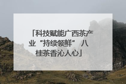 科技赋能广西茶产业“持续领鲜” 八桂茶香沁人心