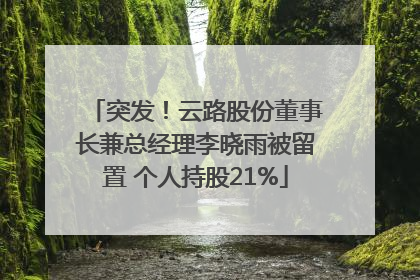 突发！云路股份董事长兼总经理李晓雨被留置 个人持股21%