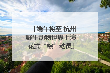 端午将至 杭州野生动物世界上演花式“粽”动员
