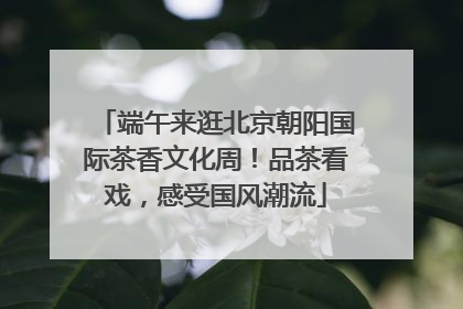 端午来逛北京朝阳国际茶香文化周！品茶看戏，感受国风潮流