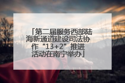 第二届服务西部陆海新通道建设司法协作“13+2”推进活动在南宁举办