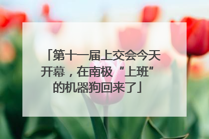 第十一届上交会今天开幕，在南极“上班”的机器狗回来了