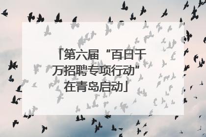 第六届“百日千万招聘专项行动”在青岛启动