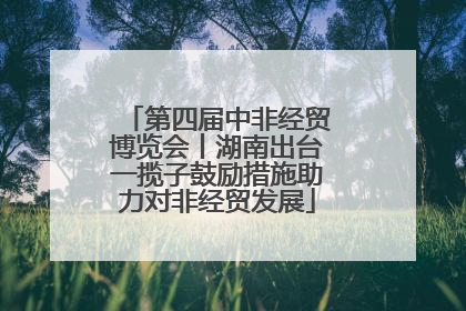 第四届中非经贸博览会丨湖南出台一揽子鼓励措施助力对非经贸发展