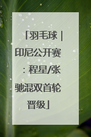 羽毛球｜印尼公开赛：程星/张驰混双首轮晋级