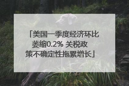 美国一季度经济环比萎缩0.2% 关税政策不确定性拖累增长