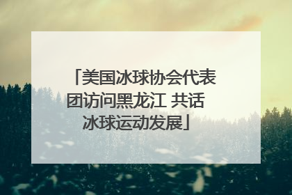 美国冰球协会代表团访问黑龙江 共话冰球运动发展