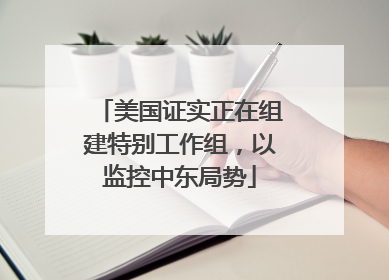 美国证实正在组建特别工作组，以监控中东局势