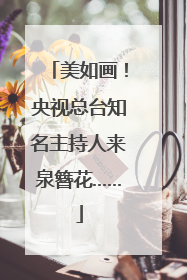 美如画！央视总台知名主持人来泉簪花……